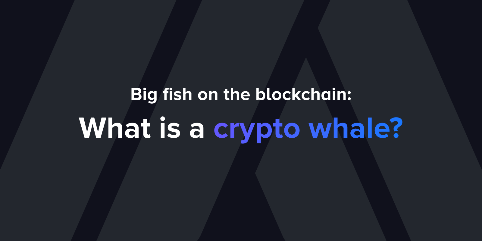 Big fish on the blockchain: What is a crypto whale?